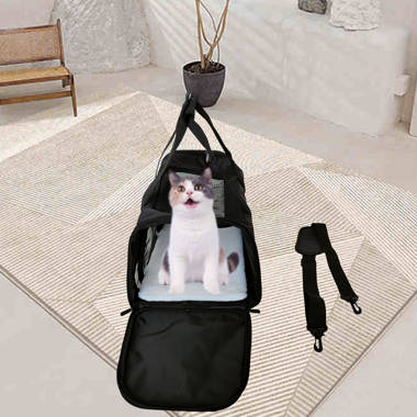 Cat holding bag sales